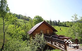 Буковий гай&ЧАН